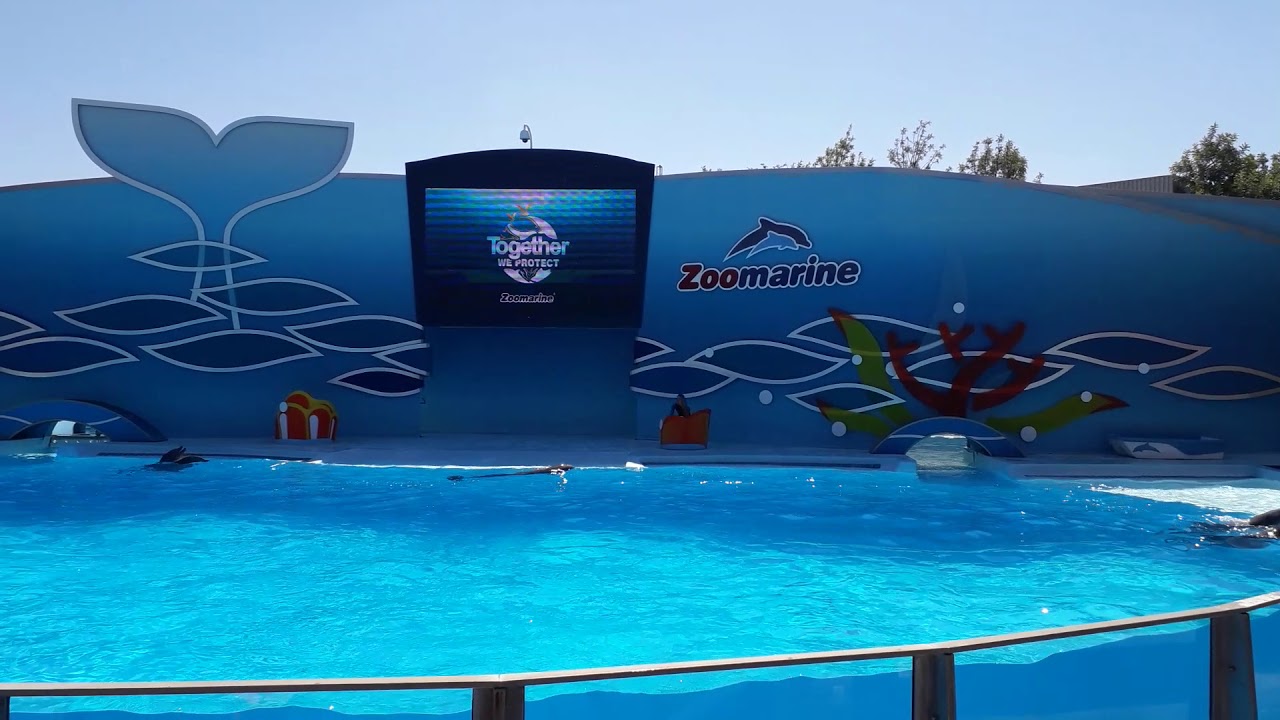 Zoomarine Algarve Portugal