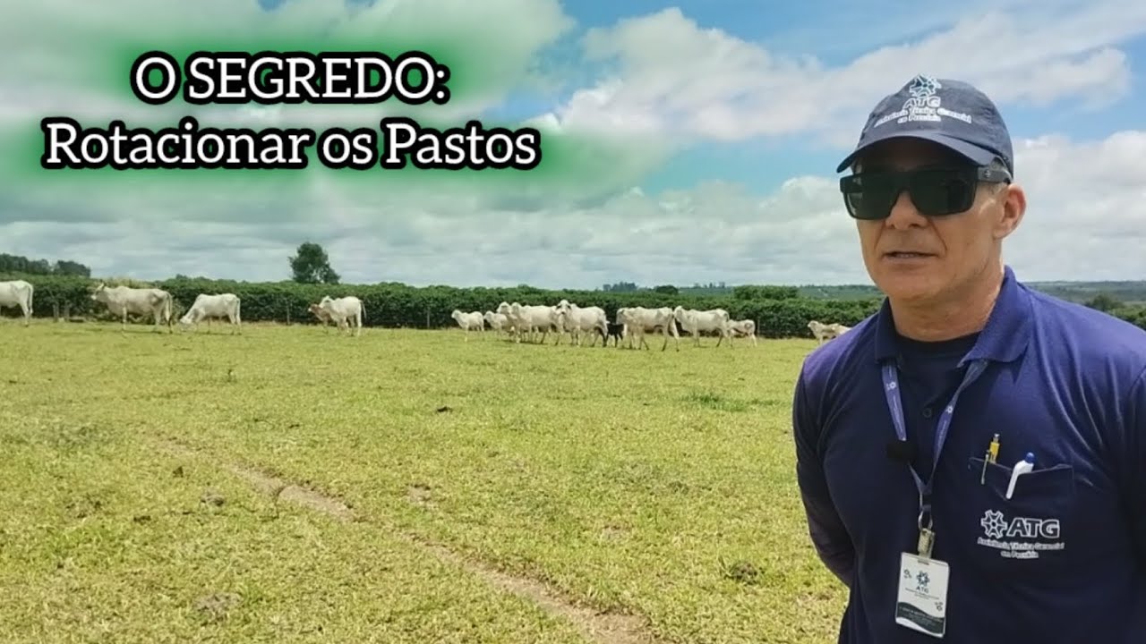 O SEGREDO: Rotacionar os Pastos