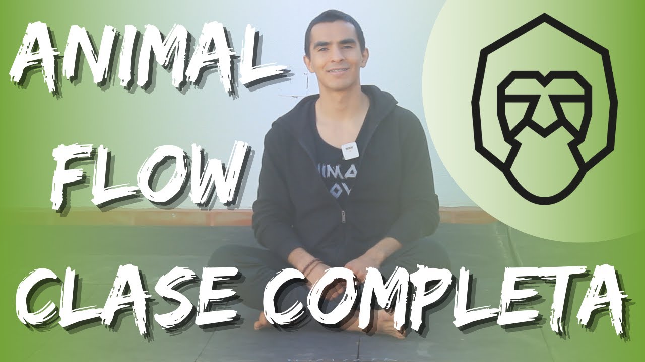 Animal Flow rutina de 30 minutos (Animal movement) + flow integrado