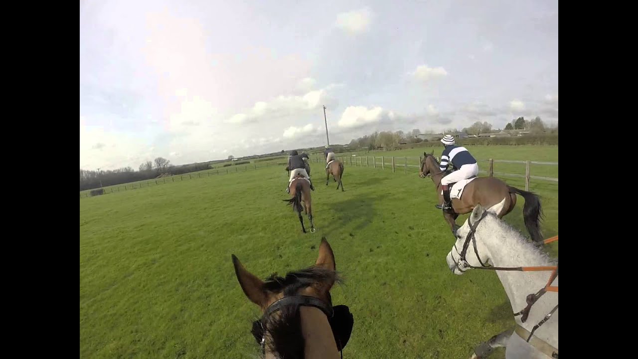 Old Berks Hunt Race 2016 - Open - King Koda