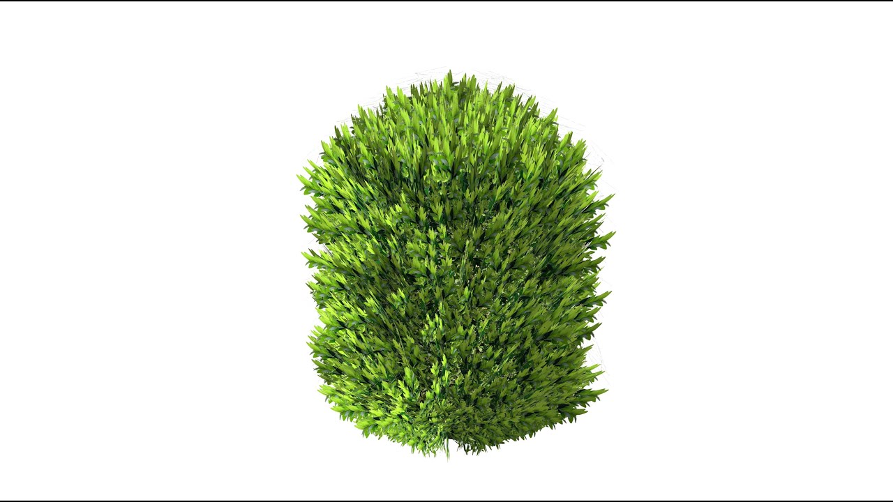 Skatter  for Sketchup  - Quick and dirty boxwood and hedge
