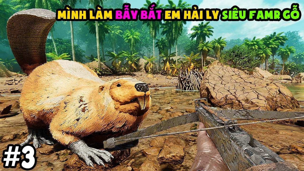 ARK: Survival Ascended #3 MÌNH LÀM BẪY BẮT EM HẢI LY SIÊU FAMR GỖ - Castoroides TAME - TÝ TIỀN TỈ