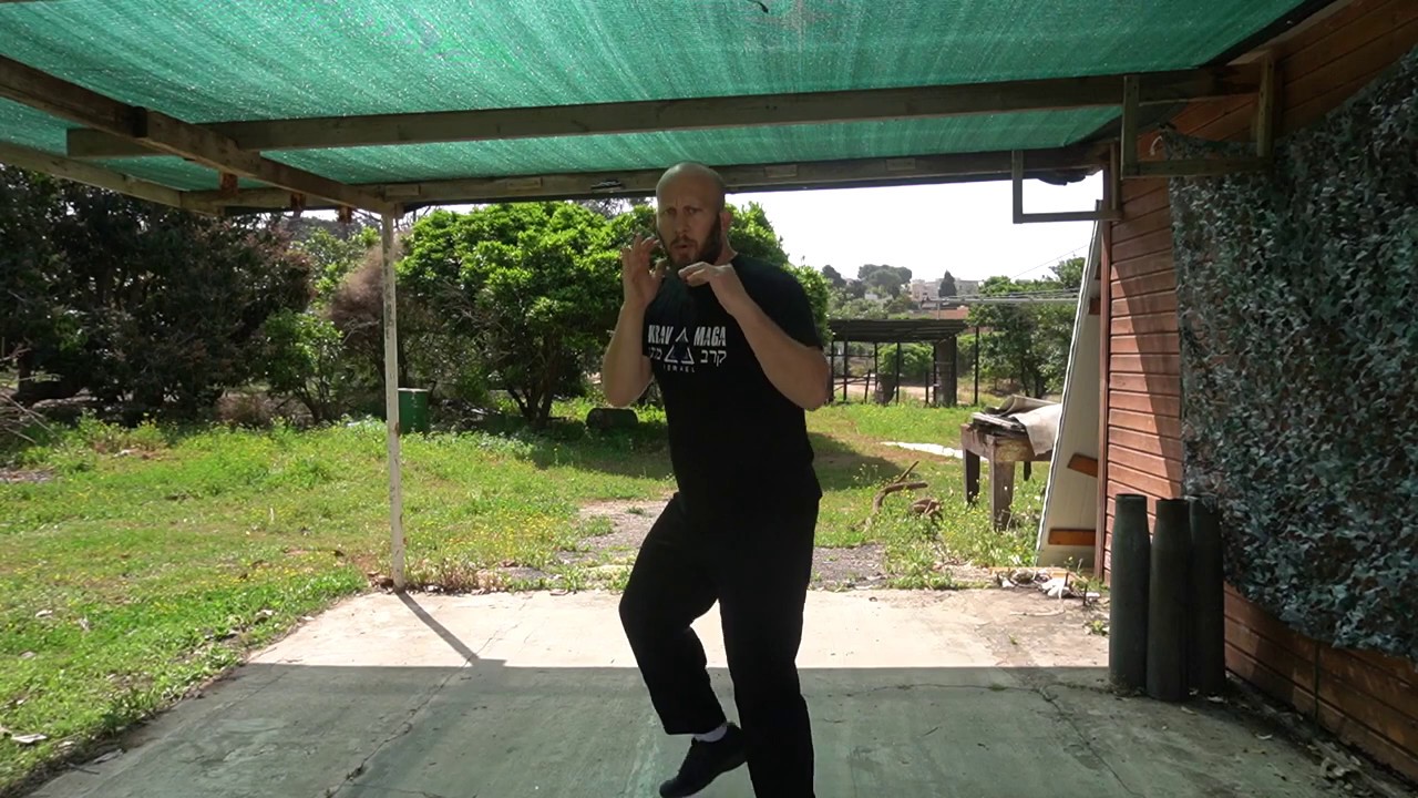 Krav Maga 4 Striking and Combatives