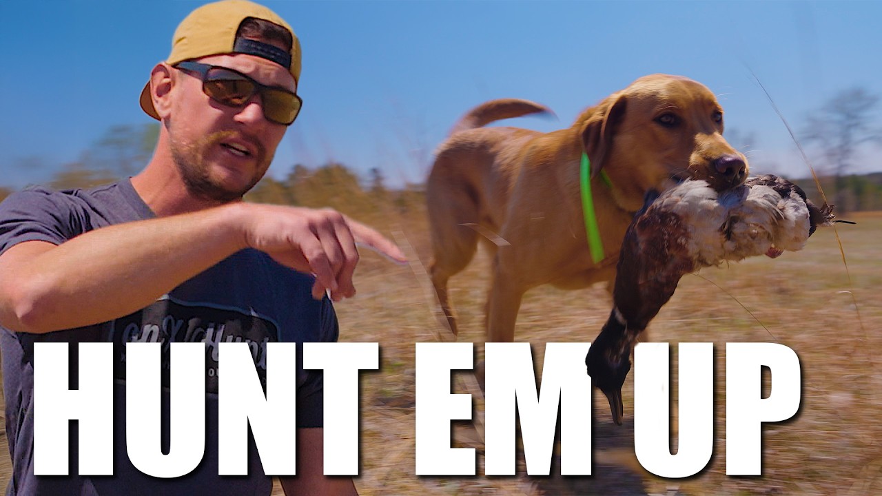 Your Dog NEEDS This Skill: “Hunt ‘Em Up” Explained