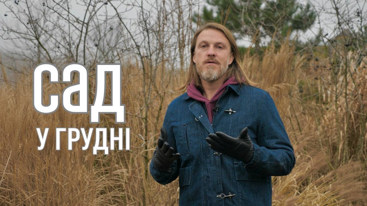 ЛАНДШАФТНИЙ ДИЗАЙН | САД У ГРУДНІ