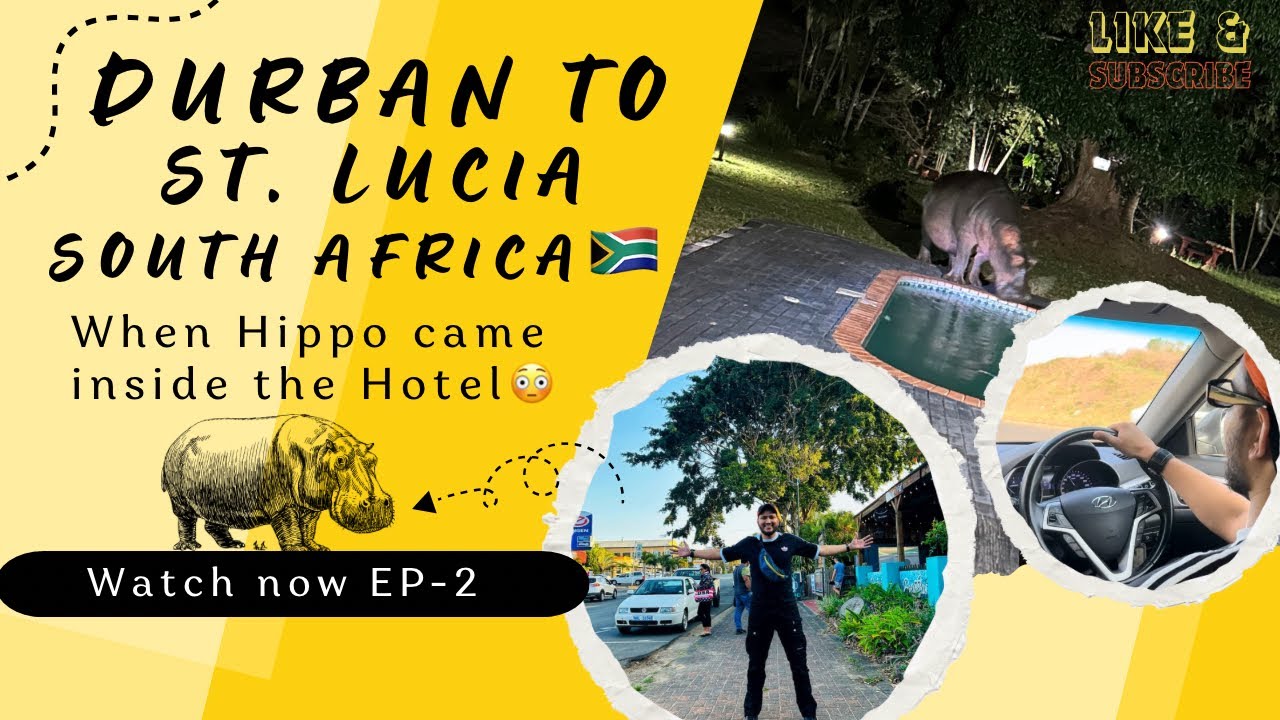 Durban to St. Lucia, South Africa , Hippo in Hotel😳 | Indian in Africa | EP-2 | Durban | Hindi Vlog