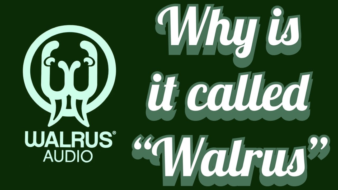 Why “Walrus” Audio?!? (Colt Westbrook interview)