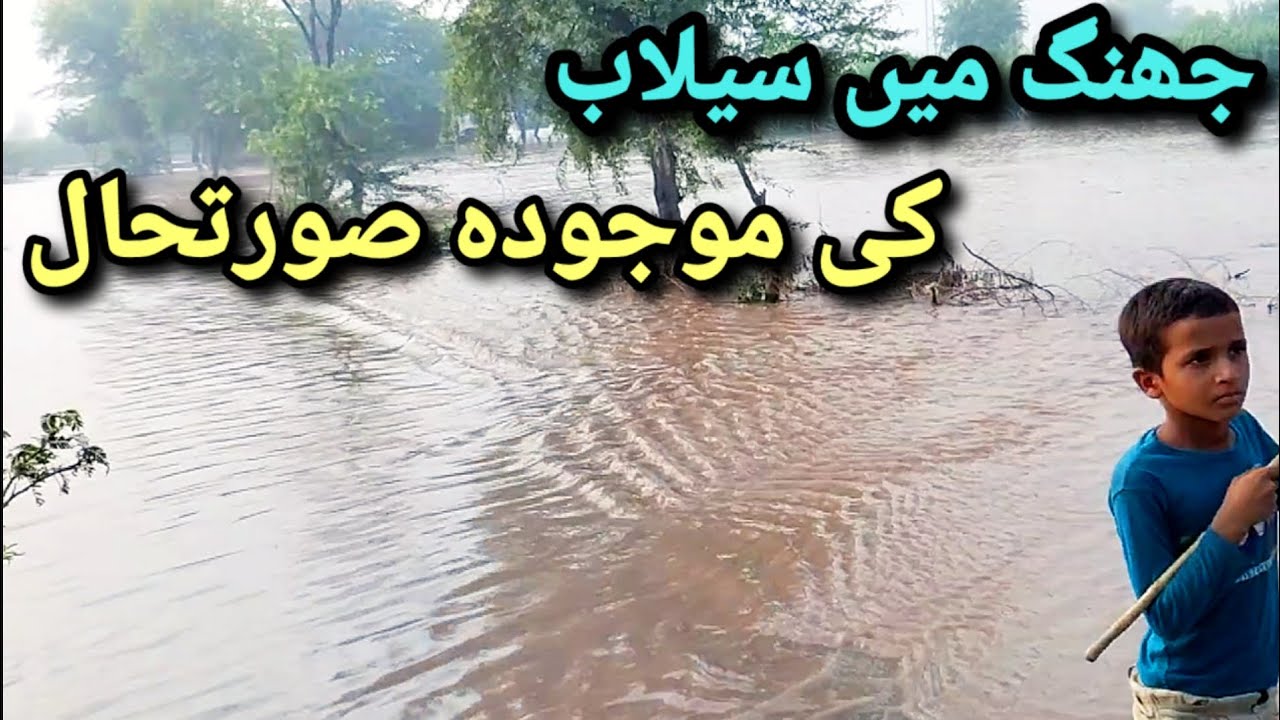 جھنگ میں سیلاب کی موجودہ صورتحال 29 اگست 8 AM #jhang #flood #jhangvi #villagerlifestyle 