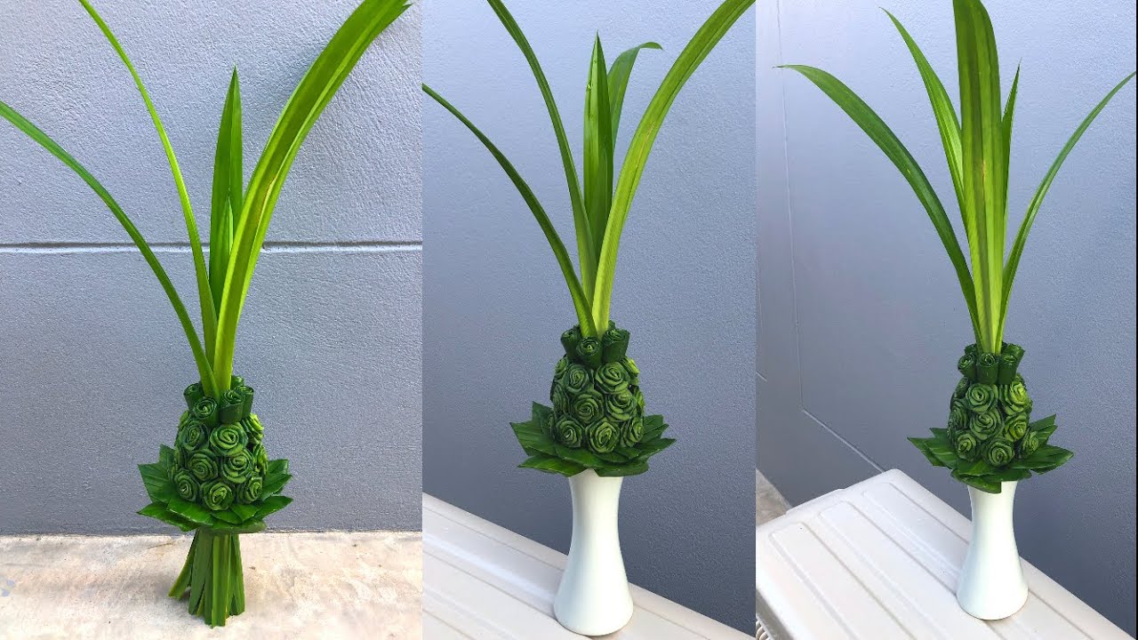 ต้นใบเตยดอกกุหลาบ | MeeDee DIY