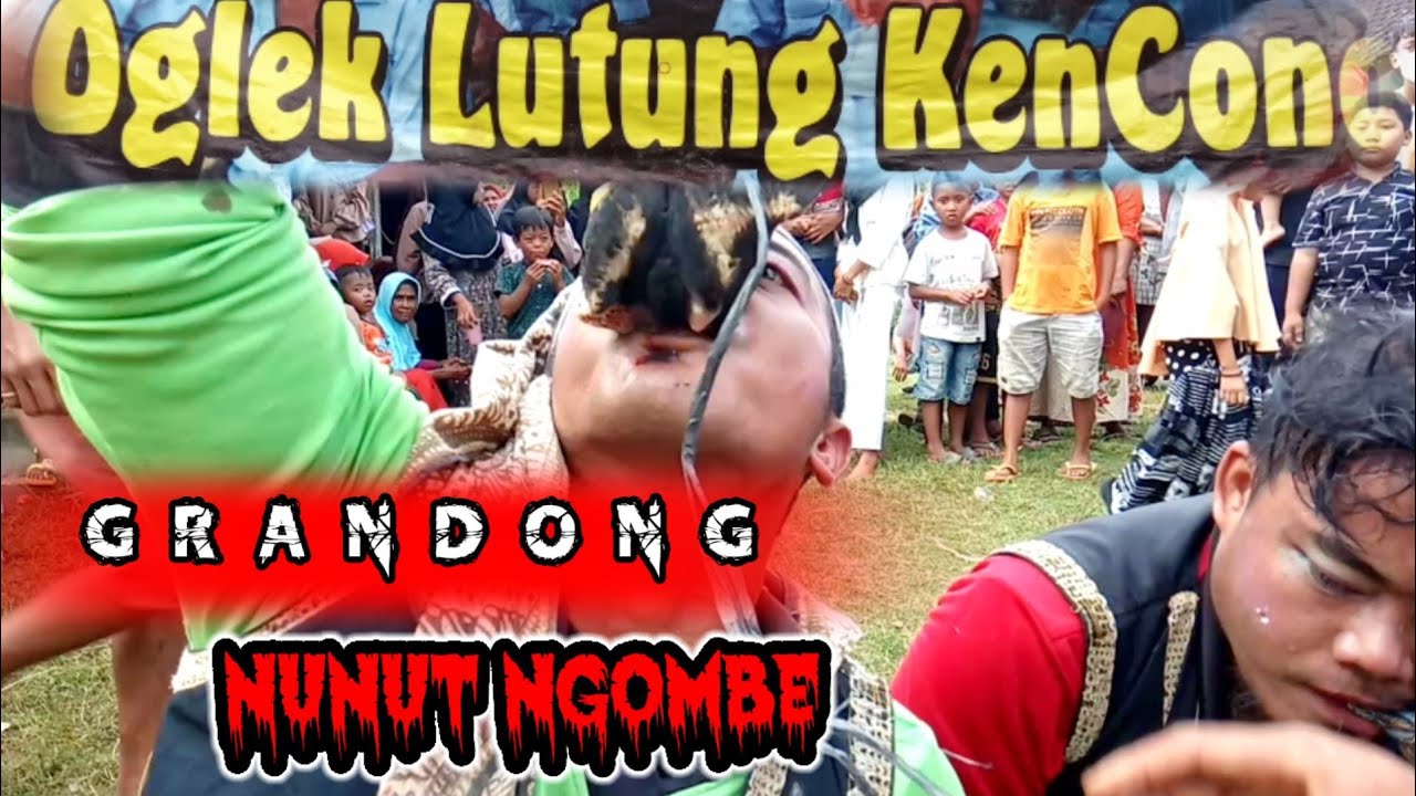 HARI INI | OGLEK LUTUNG KENCONO