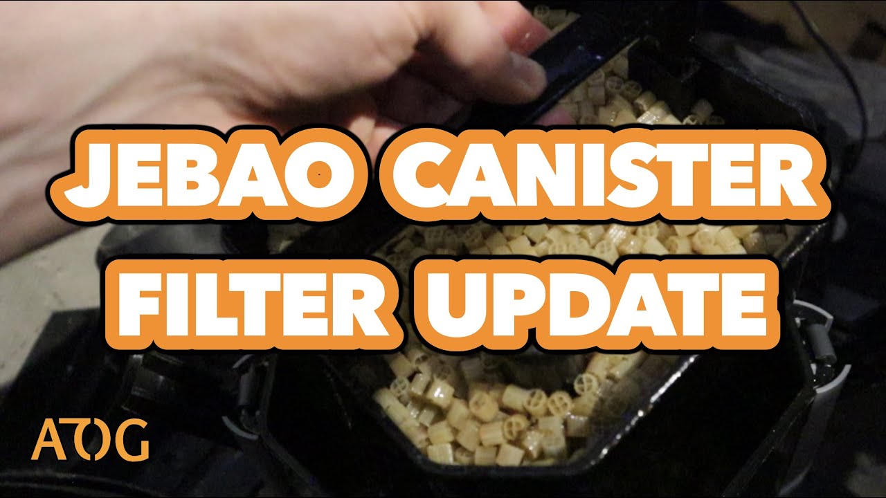 Jebao Canister Filter Update & Cleaning