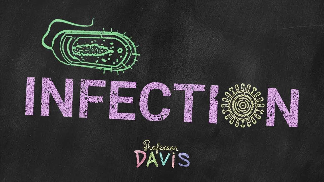 Pathophysiology Review: Infection