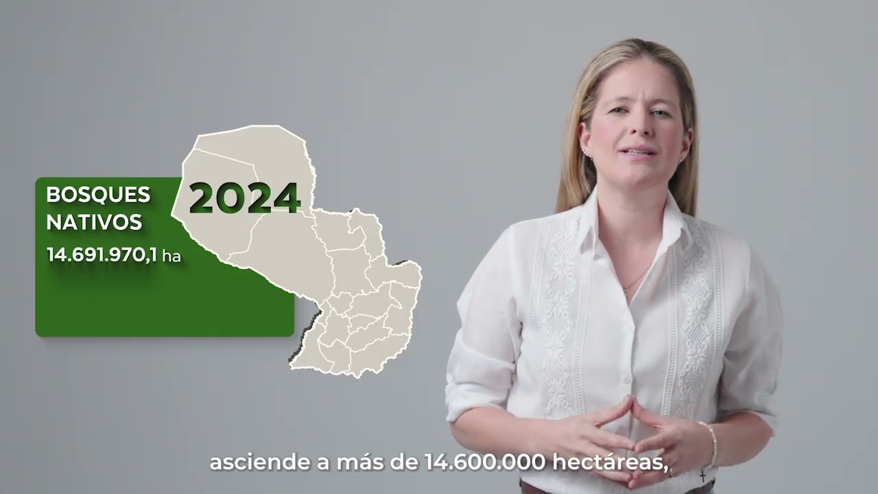 Reporte Nacional de Cobertura Forestal y Cambios de Uso de la Tierra 2022–2024