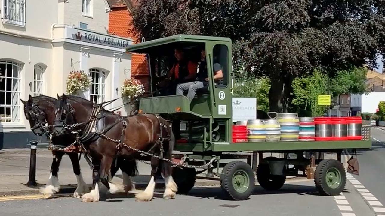 Brewery Delivers Beer Using Horse-Drawn Cart