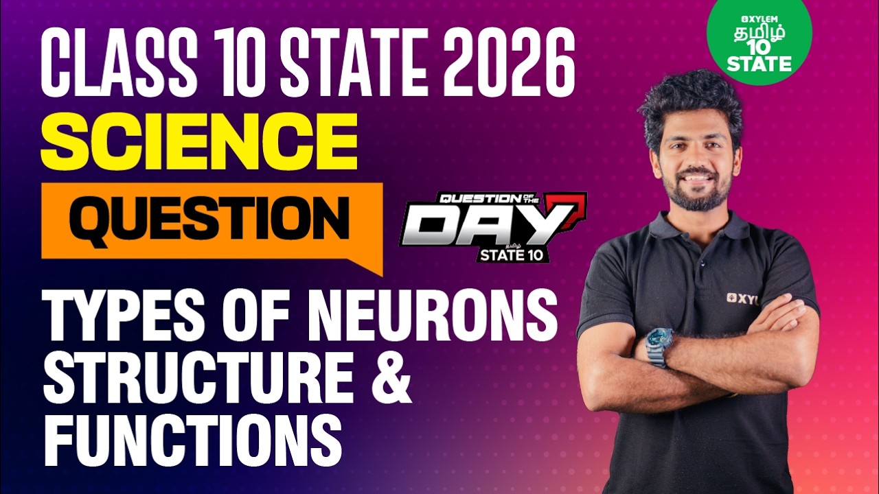 📑 Question Of The Day ❓ Types of Neurons | Structure & Functions | Class 10 | Xylem State 10 Tamil