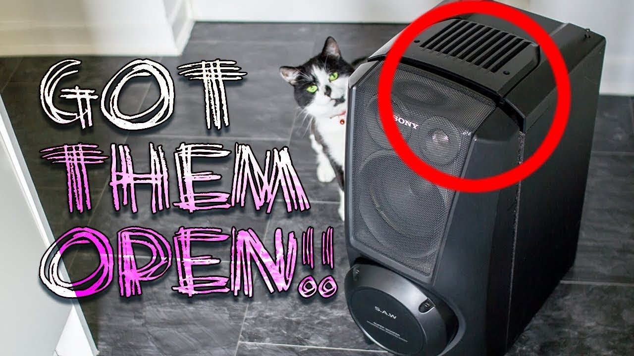 SONY Super Woofers OPENED !!! (Pt.1)