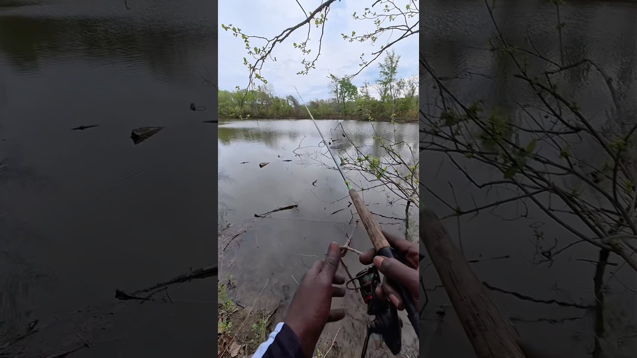 В труднодоступных местах водится рыба #рыбалка