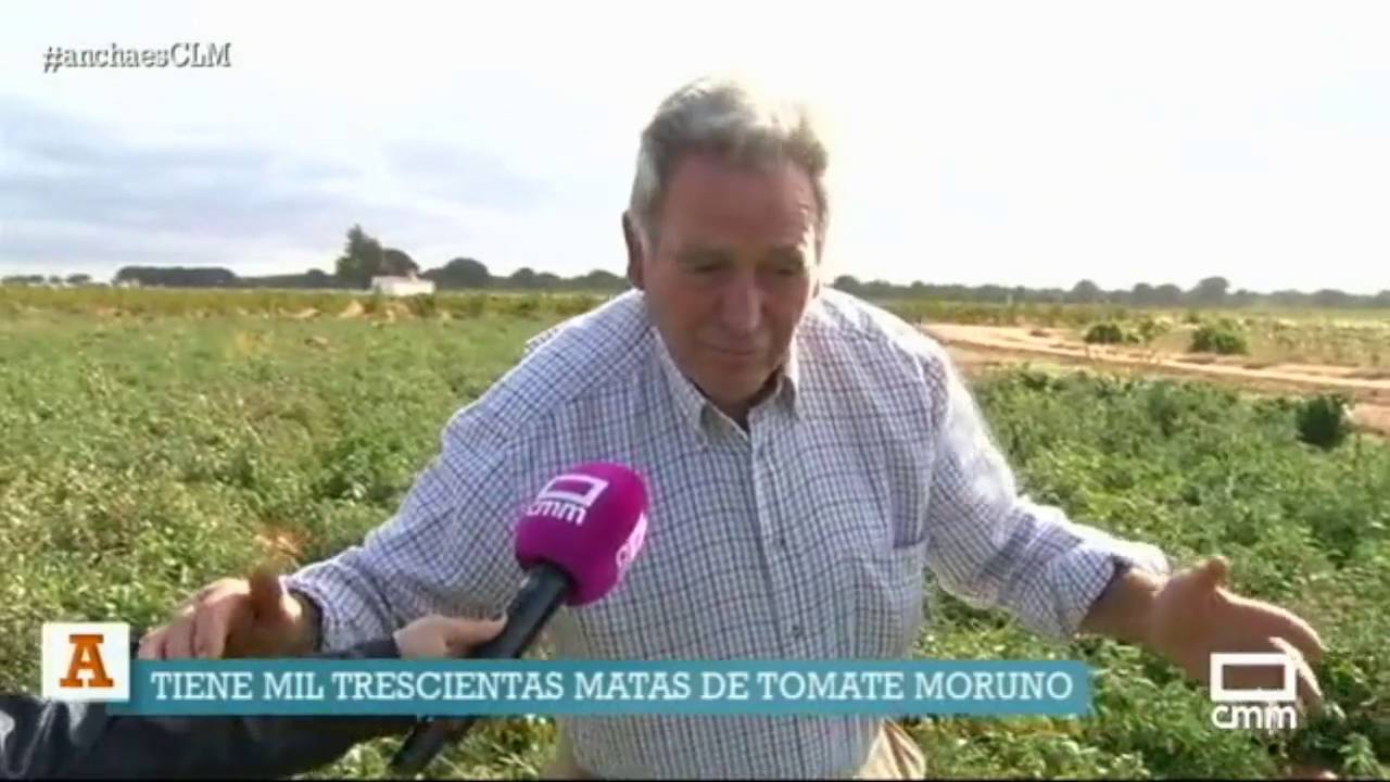 Tomates de Socuéllamos. Ancha es Castilla - La Mancha.