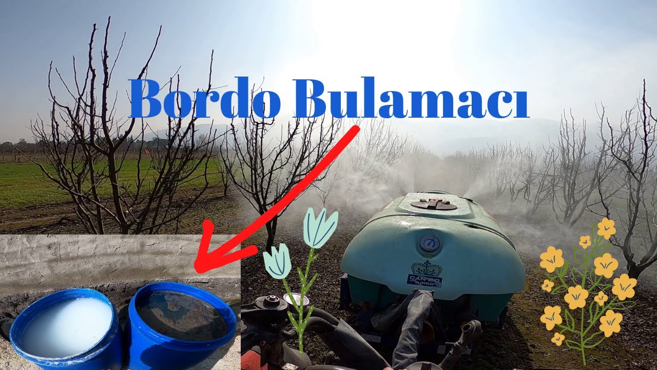 Meyve Ağaçlarına Bordo Bulamacı Attım [ GoPro ]
