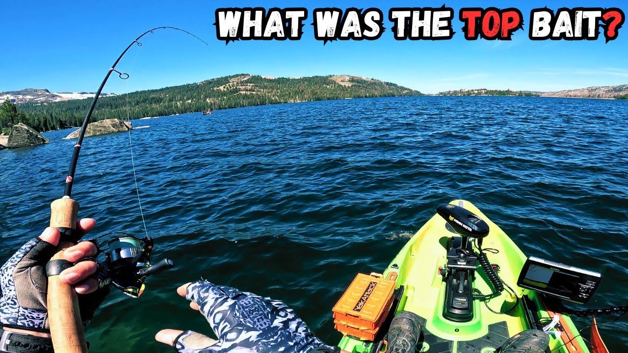 Epic TROUT Bite, BUT I Had To Work for It - Eastern Sierra Trout Fishing at Caples Lake, Ca
