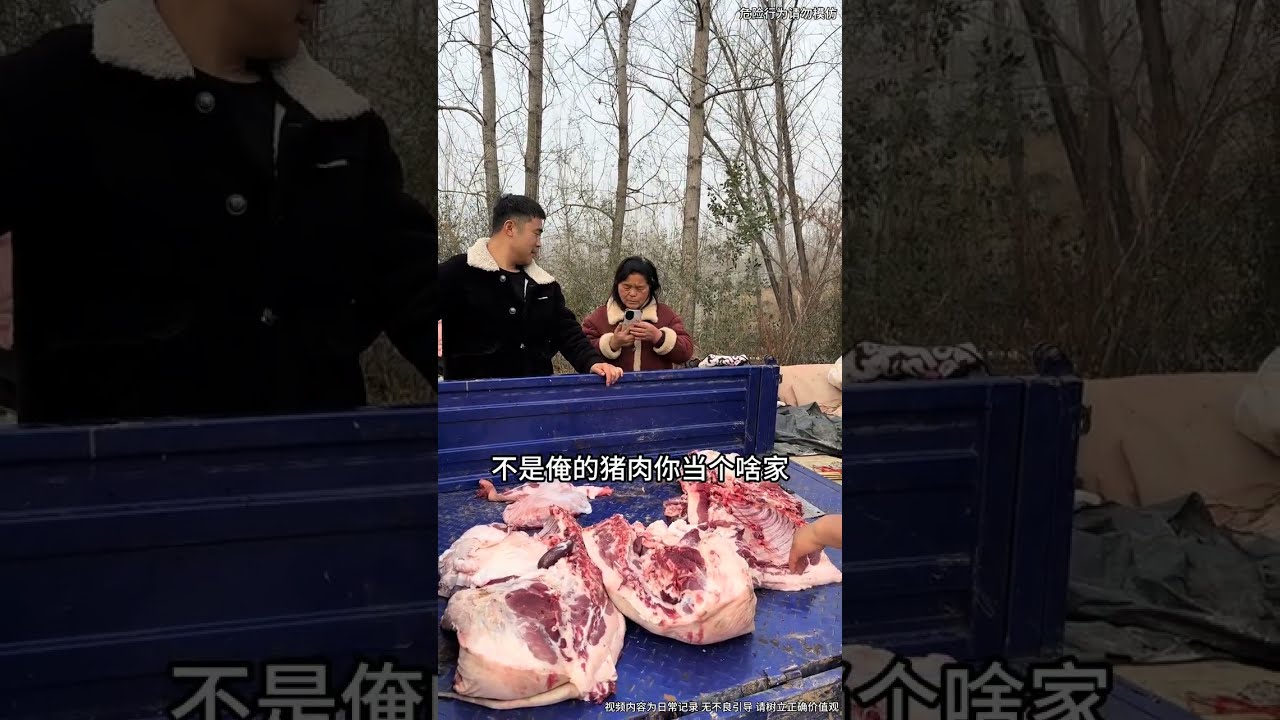 东北黄糯玉米软糯香甜整箱10根支持试吃三根#妈呀太香了
