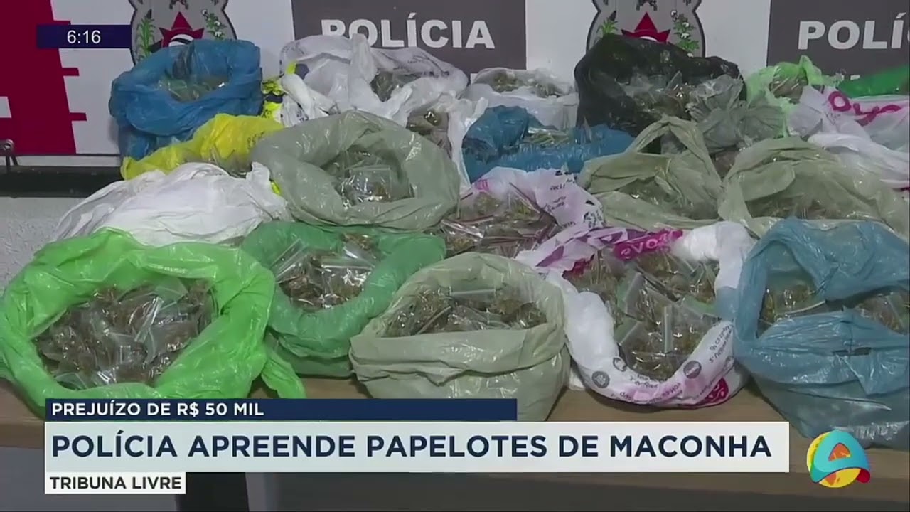 Tribuna Livre - Polícia apreende papelotes de maconha na grande João Pessoa