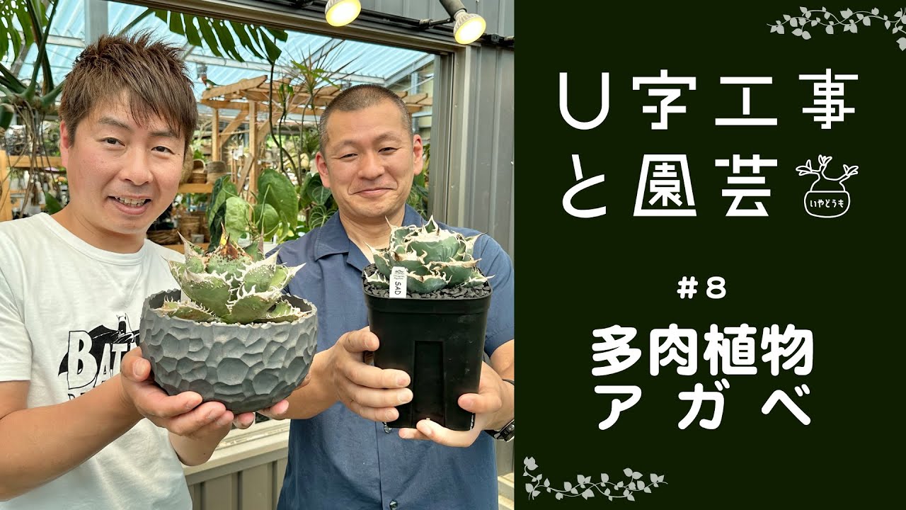 U字工事と園芸　#08