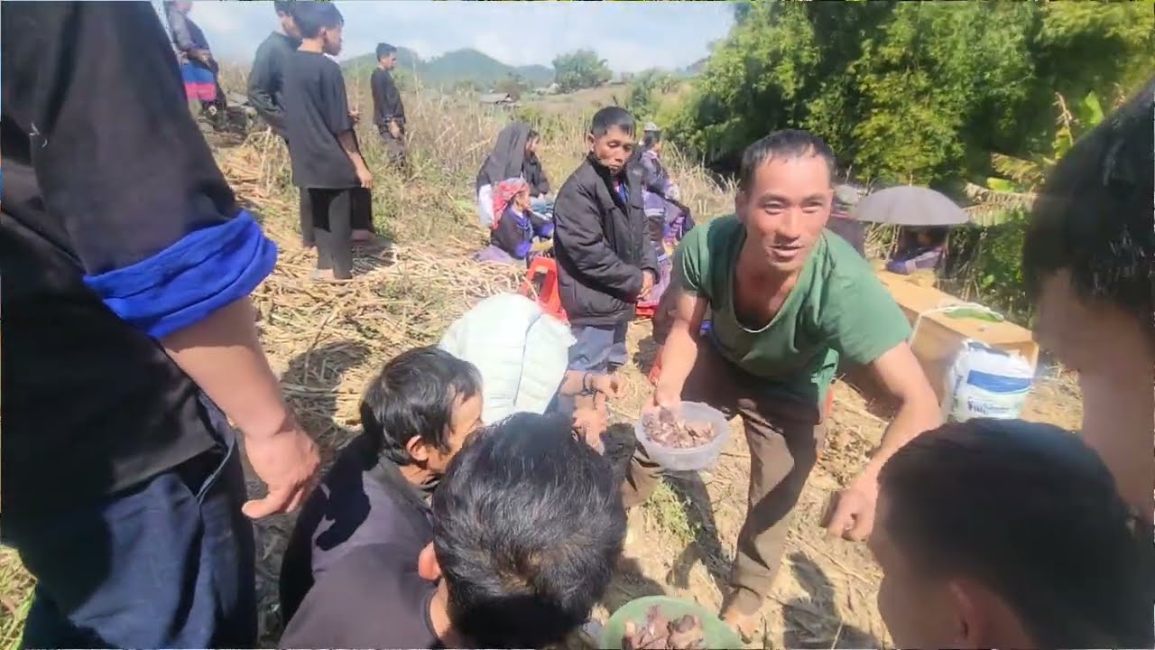 22 tháng 1, 2026 txiv ntxawm lub nteeg xaug lawm 
