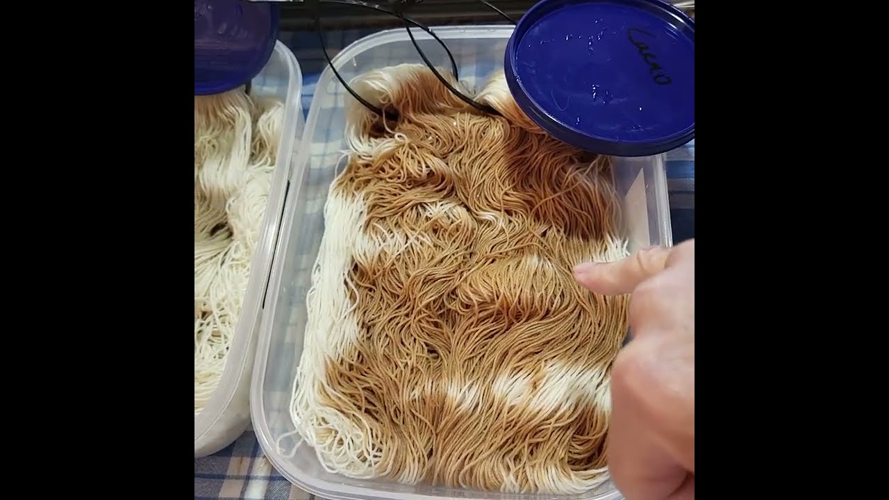 Come dye with me. Natural Yarn Dyeing on Sock Yarn. #2dye4