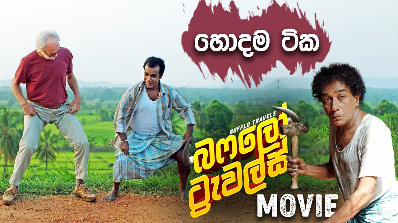 බෆලෝ ට්&zwj;රැවල්ස් හොදම ටික එක පෙලට 😂❤️ | Buffalo Travels Best Funny Clips