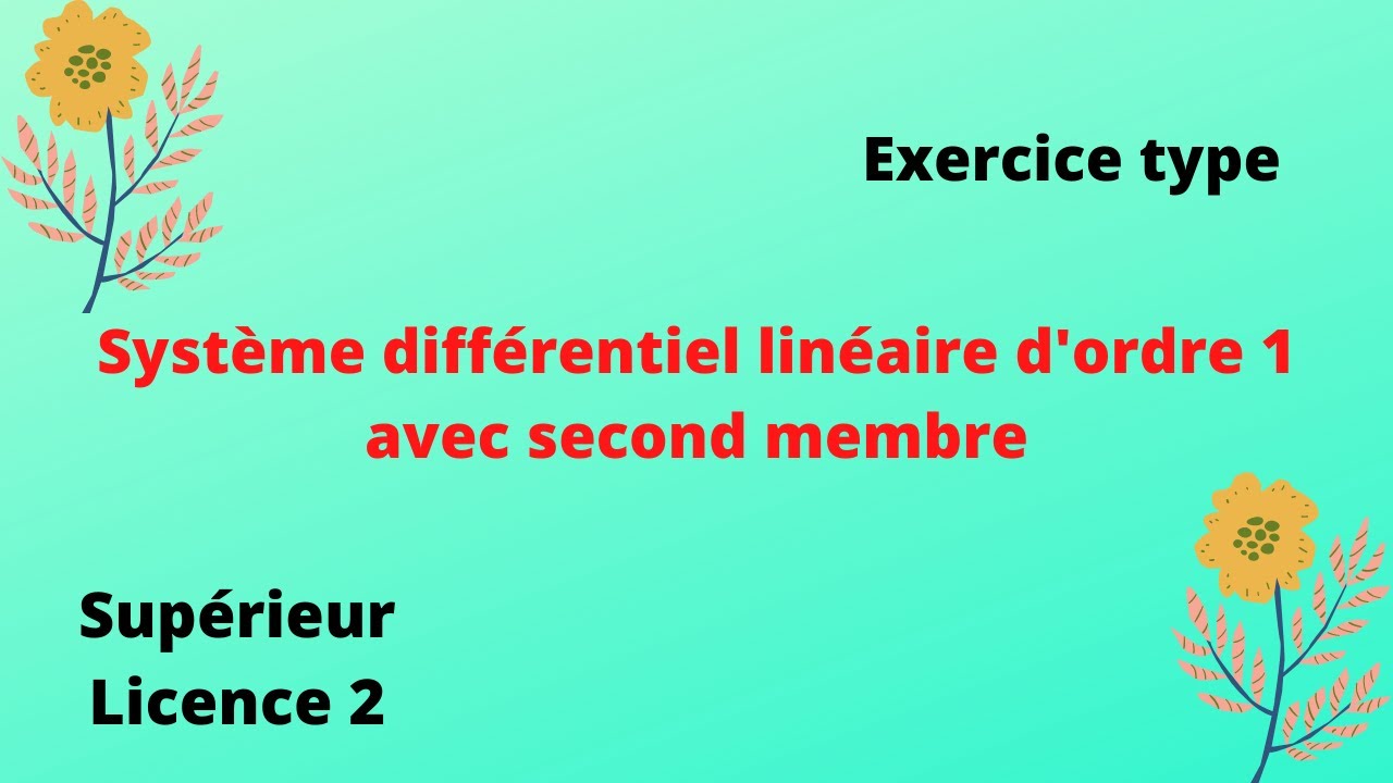 système différentielle d'ordre 1 avec second membre