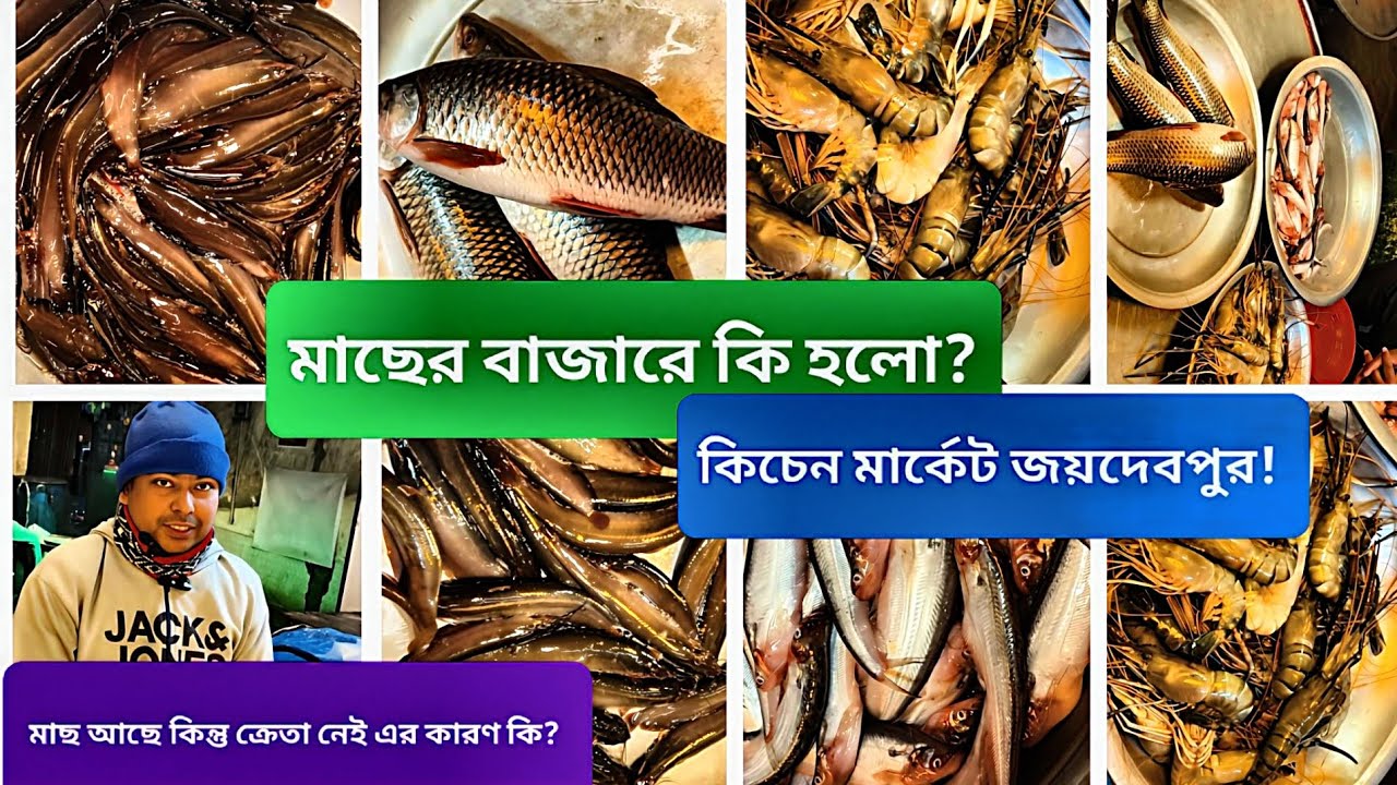 আজকের মাছের বাজার দর | দাম কমলো নাকি বাড়লো? | কিচেন মার্কেট জয়দেবপুর। ‎⁨@Pricepointbd-r9f⁩ #viral 