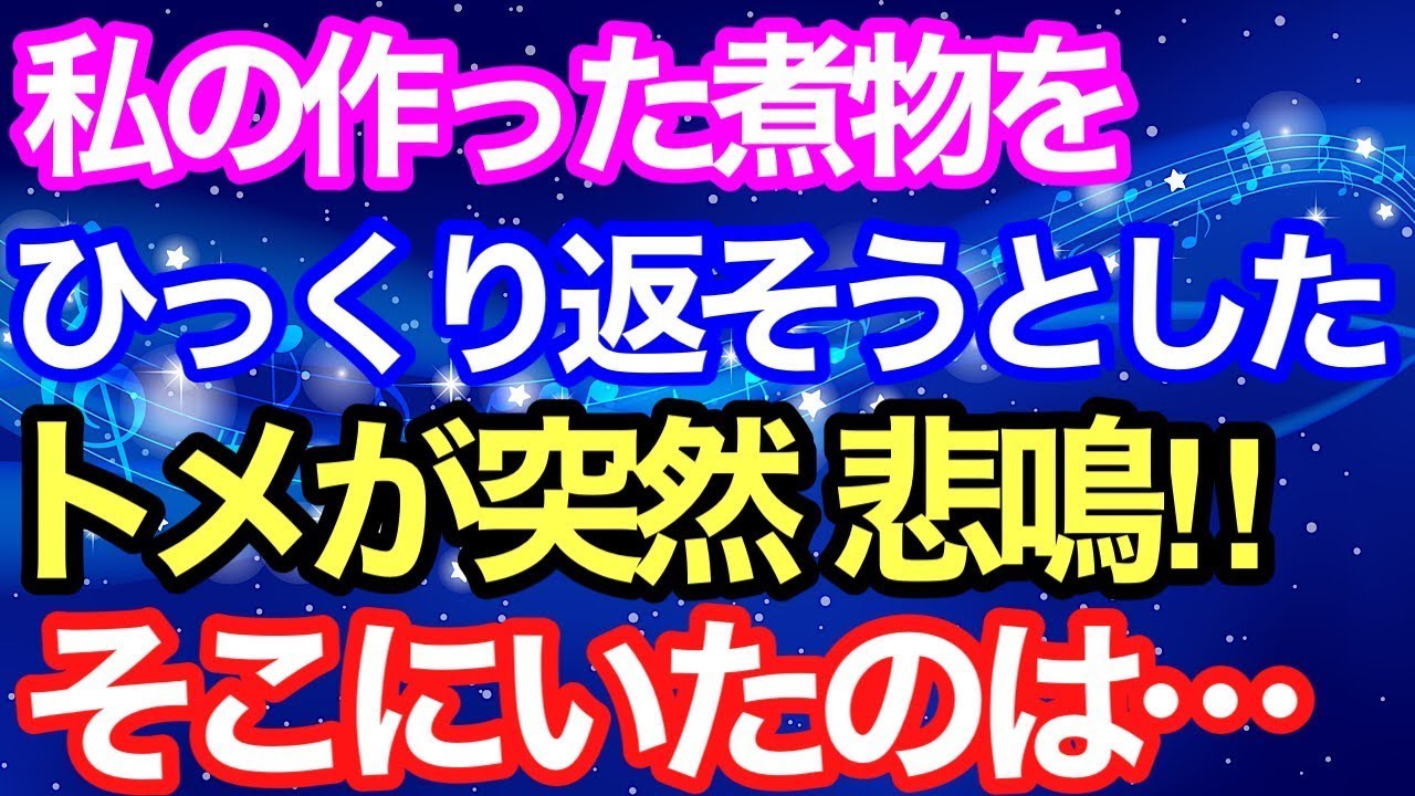 【スカッとする話】嫁いびりで、煮物をひっくり返そうとしたトメが突然悲鳴を上げた!そこにはコトメが   GJ!【スカッとハレバレ】