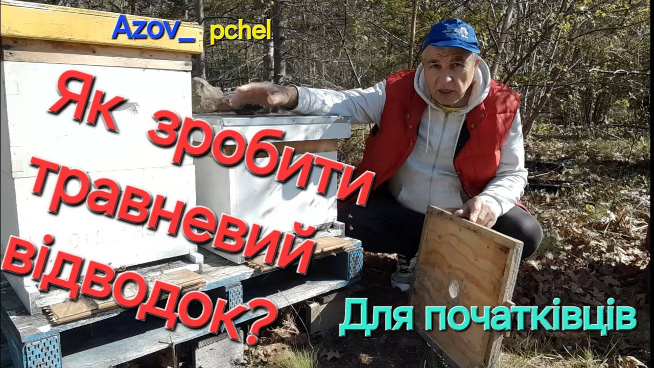 #бджоли Травневі відводки найпродуктивніші