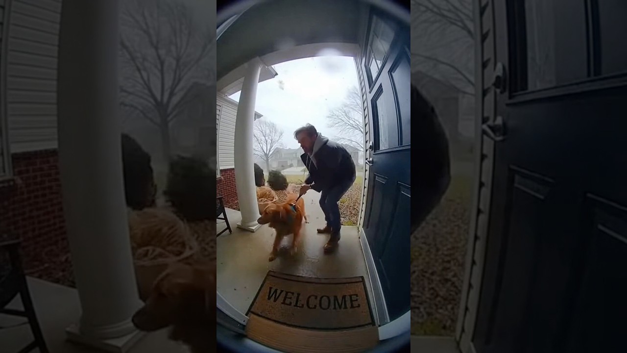 🐶 Dog vs Tornado! Ring Doorbell Captures the Chaos 🌪️ #RingDoorbell #hero #caughtoncamara  #shorts