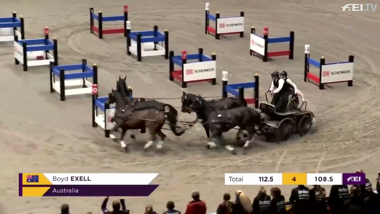 FEI Driving World Cup