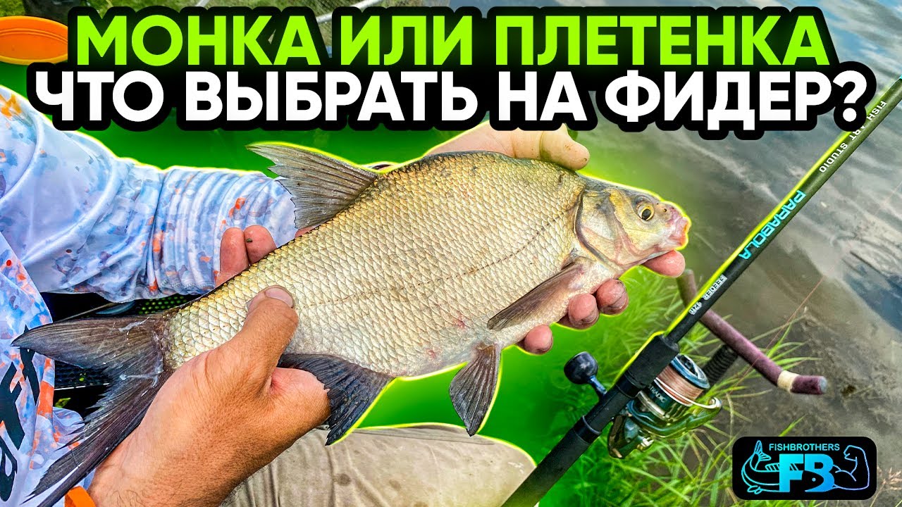 ФИДЕР НА РЕКЕ.  ПРАВИЛЬНАЯ ПОДАЧА КОРМА - привела к желаемому результату!