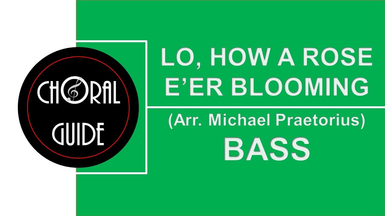 Lo, How a Rose E'er Blooming - BASS