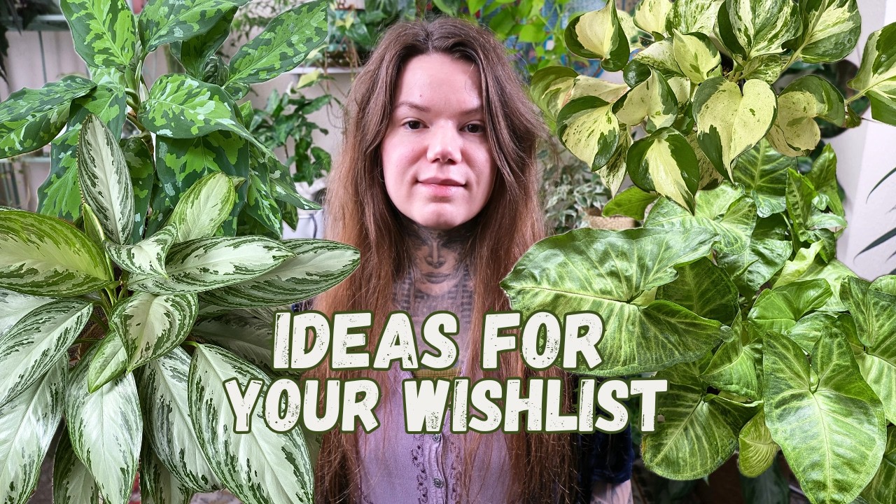 Ideas For Your Houseplant Collection Wishlist!