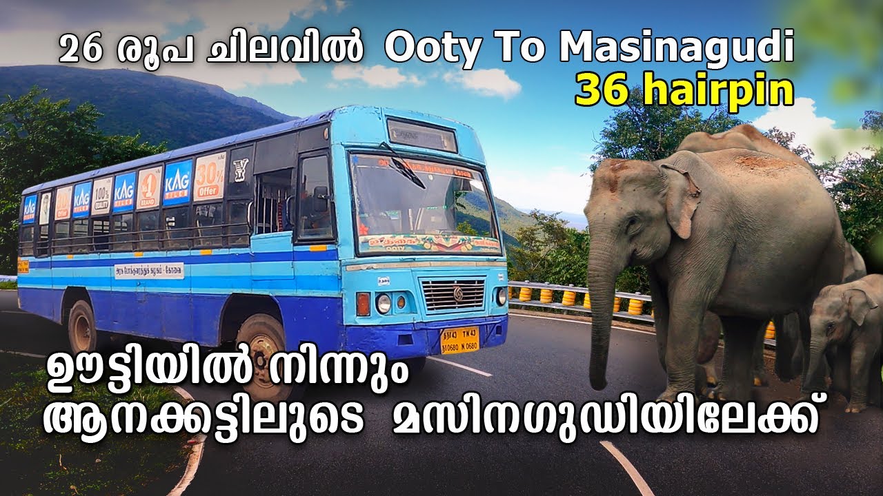 ഊട്ടിയിൽ നിന്നും ആനക്കട്ടിലുടെ മസിനഗുഡിയിലേക്ക്  | Ooty to Masinagudi | ksrtc trip | Tnstc  | free20