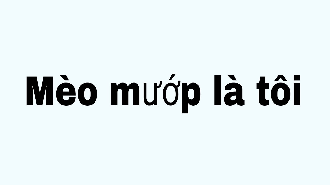 Mèo mướp là tôi full