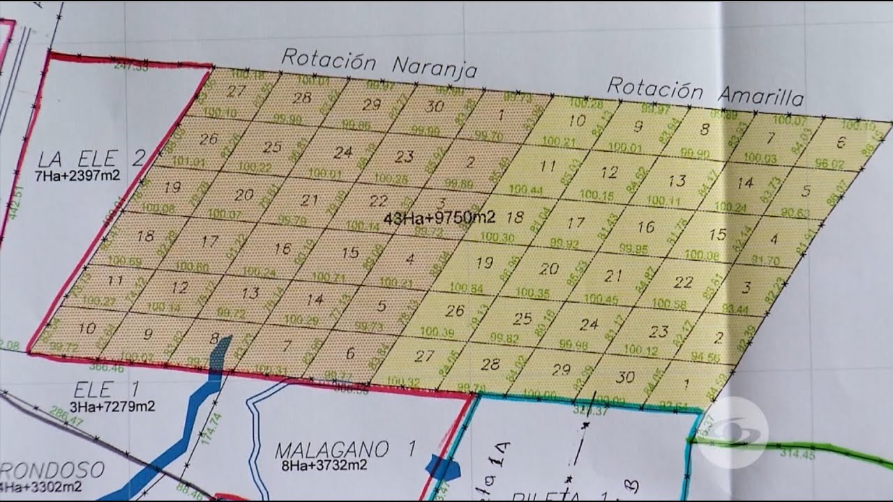 Proyecto rotacional para ganado de ceba