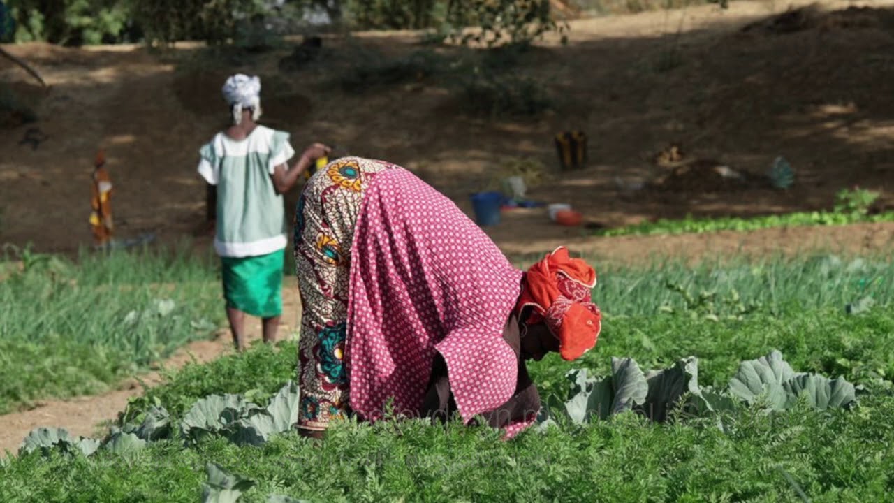 Apêl Hyfforddiant Eco-Amaeth i Bentre Saouga