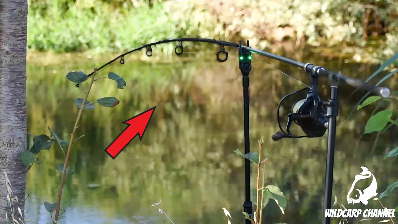 Carp Run COMPILATION 2022! PART 68! (Nash R4 / Fox Rx+ / Delkim)
