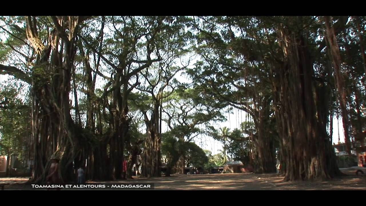 Voyage à Madagascar - Tamatave