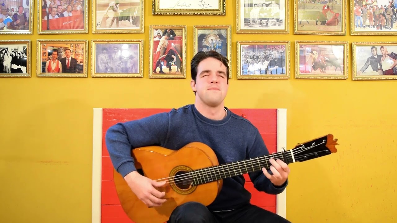 Pegs Flamenco Guitar 