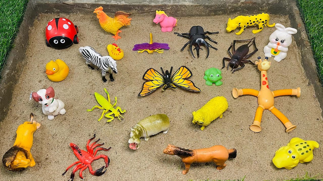 Learning Animal Names and Bug Insect for Kids | Duck, Giraffe, Ladybug, Bear, Butterfly