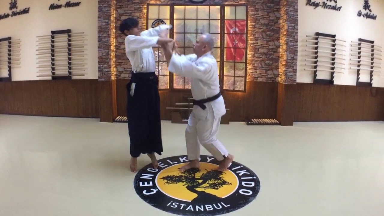 Ryotedori Kiriotoshi | Yetişkin Aikido | Gen&ccedil; Aikido |