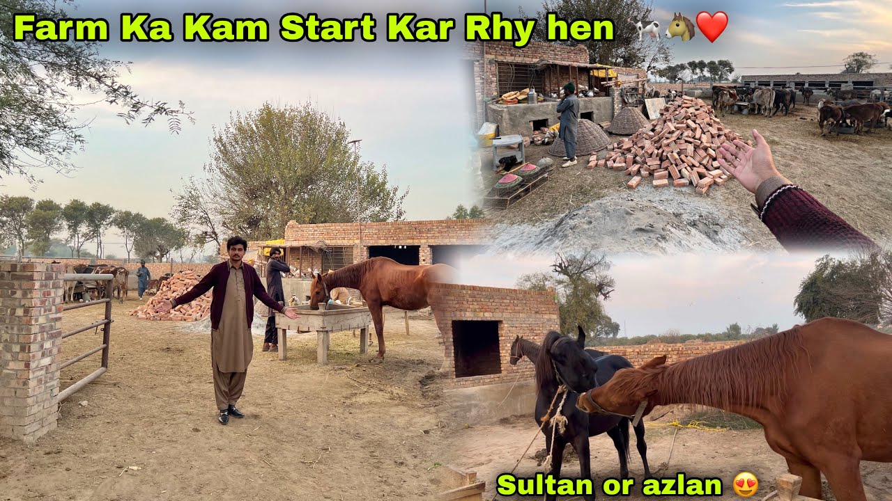 Farm Ka Kam Start Ho Rha ❤️ || New Horse & Cows Setup 🐴🐄