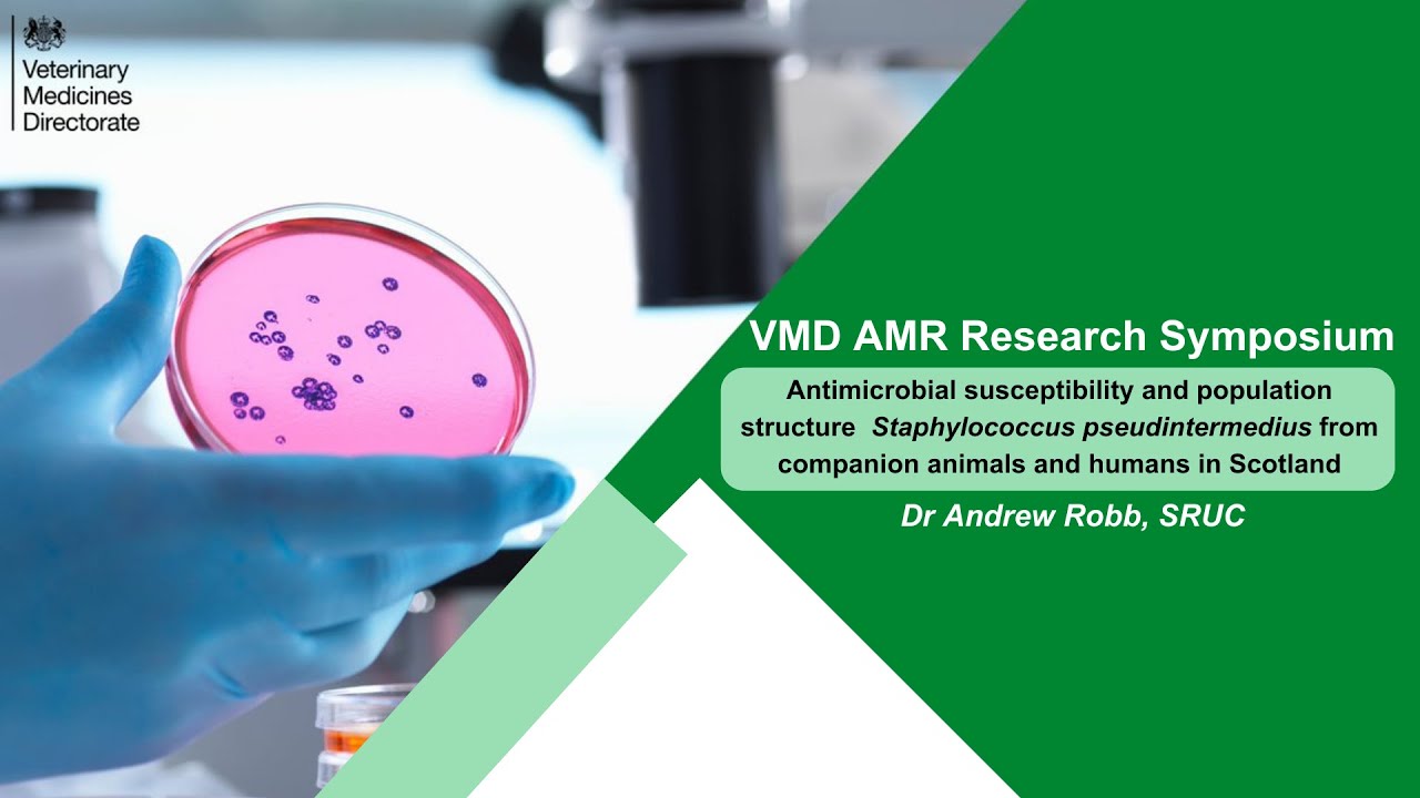 Staphylococcus pseudintermedius from companion animals and humans in Scotland, Dr Andrew Webb (SRUC)